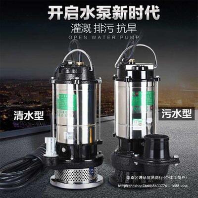 20V不锈钢农用深泵家用自吸泵水井小型高2潜水泵扬井FRH程抽水泵