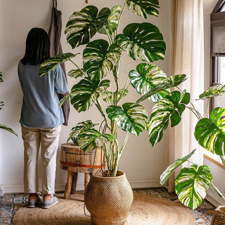 花叶龟背竹树绿植盆栽室内橱窗落地植物假绿植装饰摆件