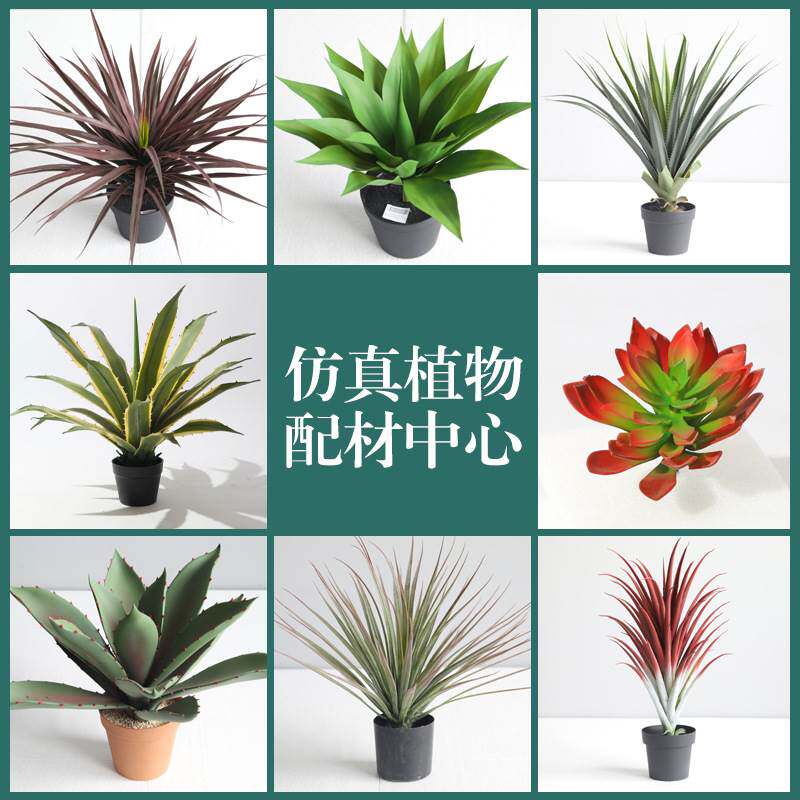 仿真绿植龙舌兰盆栽芦荟多肉植物小盆栽造景客厅橱窗摆设装饰