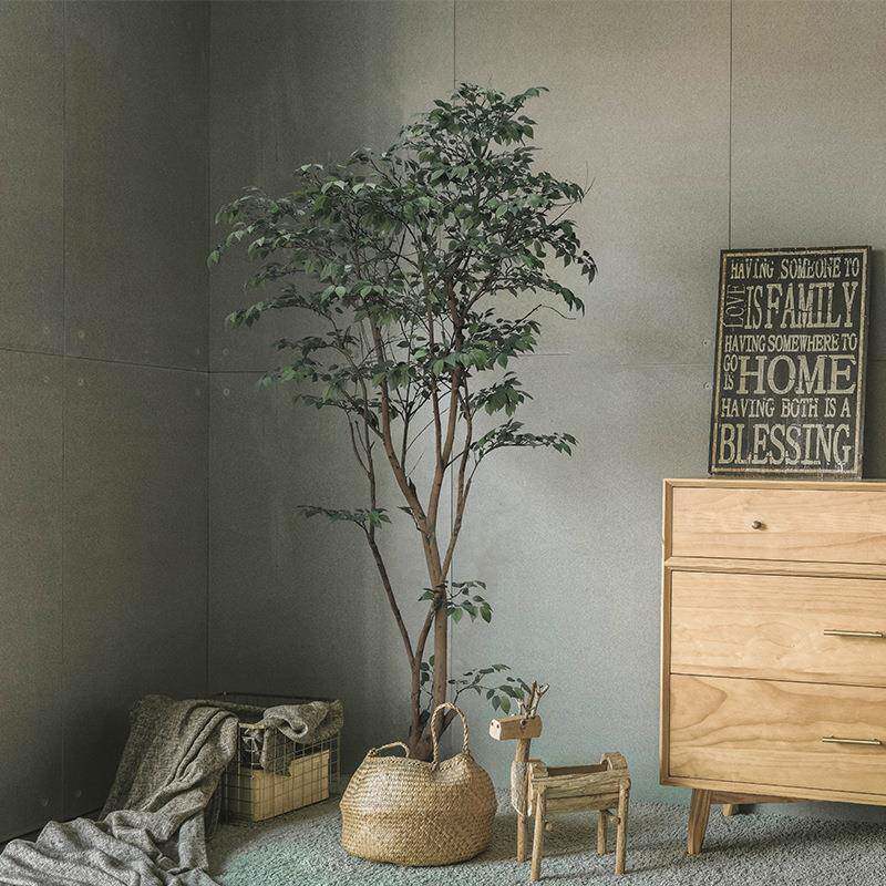 盆绿植内假植物轻奢10000967琴大叶榕假树景观型落地栽室装饰摆件