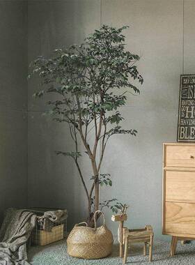 盆绿植内假植物轻奢10000967琴大叶榕假树景观型落地栽室装饰摆件