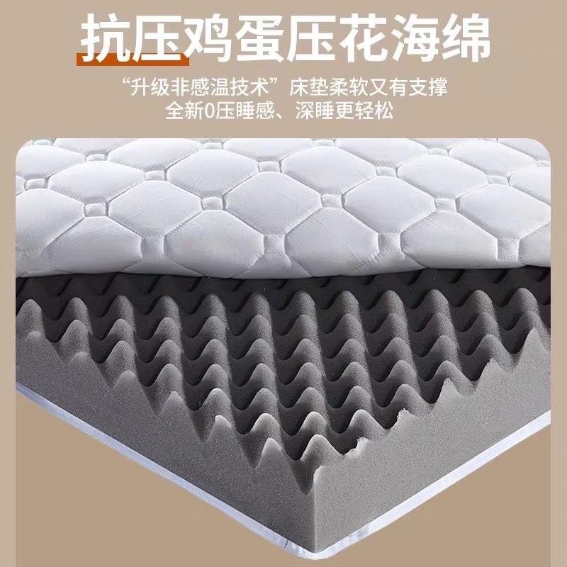 竹炭绵垫家用软垫榻褥榻米垫床褥垫租房专床用加海厚海绵子LOA不