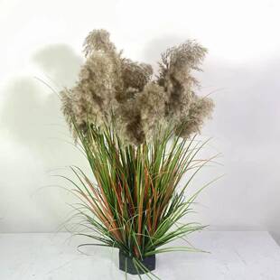 商场酒店009橱窗苇美陈件仿真摆芦假花露营风搭配布置芦柴仿真草