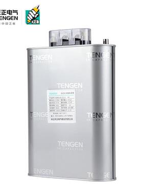 T0ENGEN天正BSMJ.25自AVN愈式压低并联电力电容器405v三相无功补
