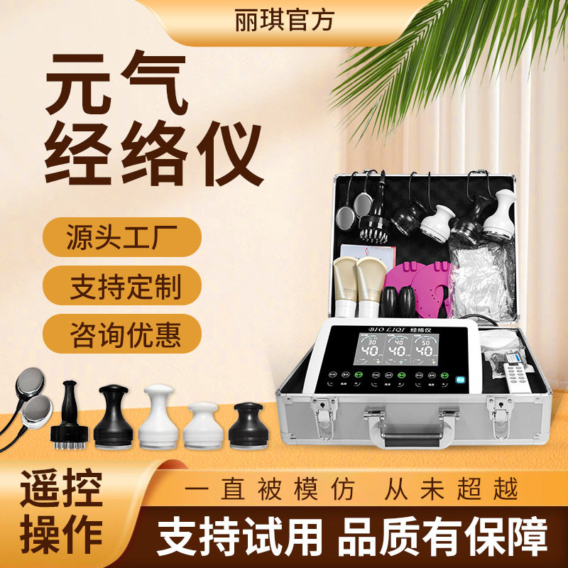 丽琪元气经络仪养元康养三通大师能量导入仪遥控升级款调理仪工厂