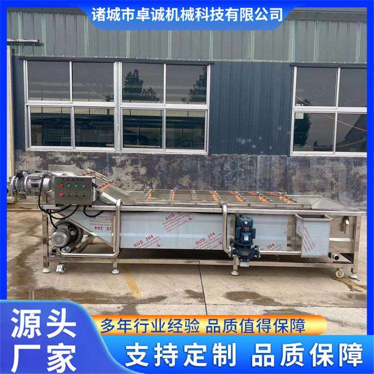 商用蔬菜水果气泡清洗机荔枝龙眼清洗风干流水线豆角清洗设备