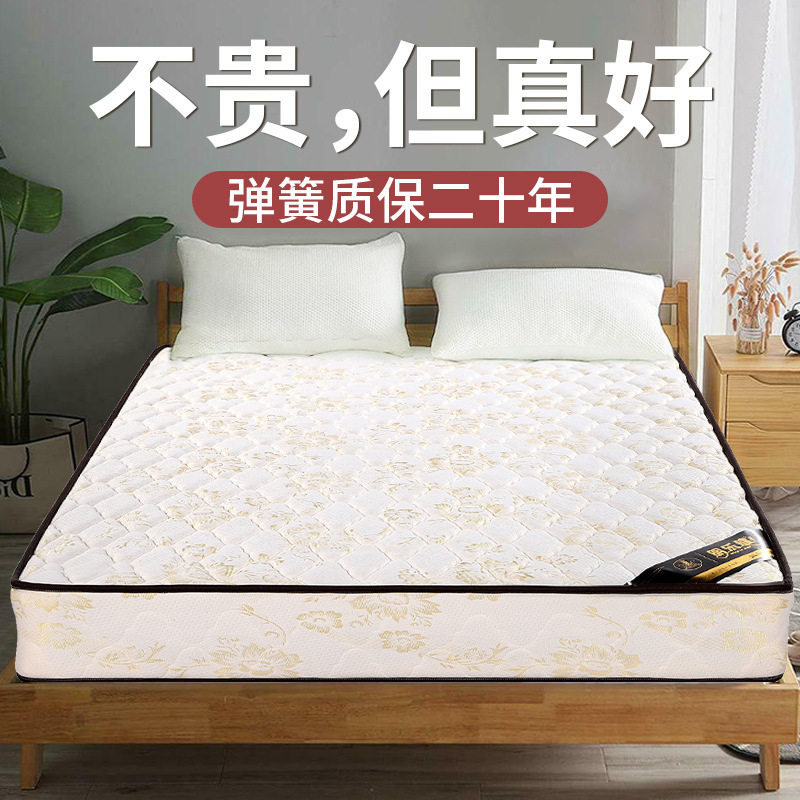 酒店家用软硬两用椰棕弹簧床垫