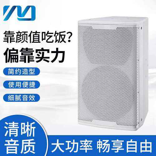户外演出大型舞台音响有源单双户外演出KTV婚庆音箱