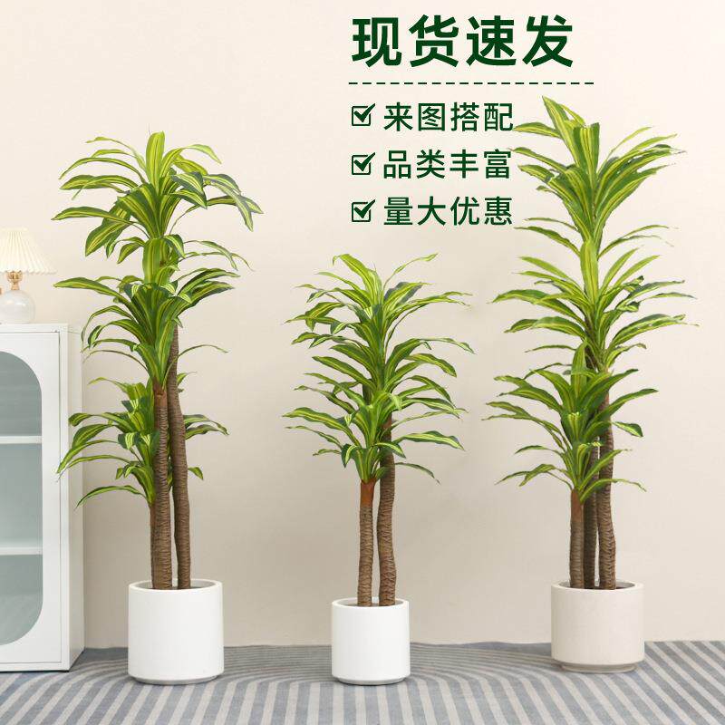 仿真巴西木仿真绿植假树盆栽客厅大型北欧仿真植物装饰室内造景
