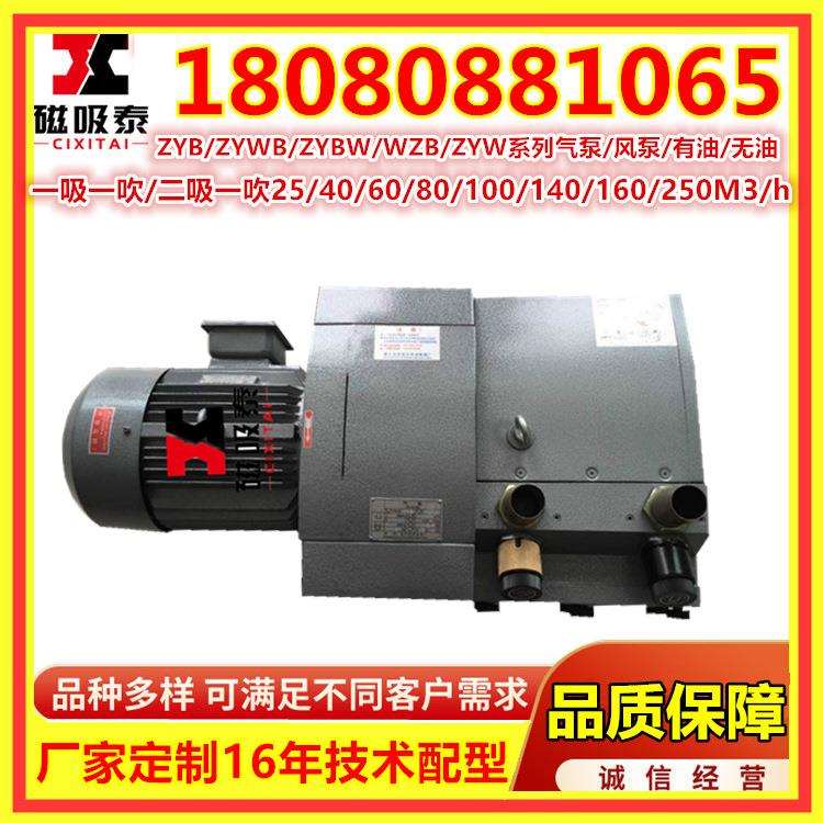 ZYWB100E/F/B真空压力复合气泵/风泵4.5KW灯泡吹吸负压抽气旋片泵