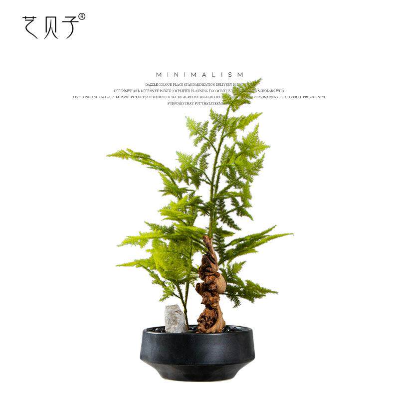 艺贝子新中式日式仿真文竹绿植盆景书房书桌售楼部洽谈桌盆栽摆件