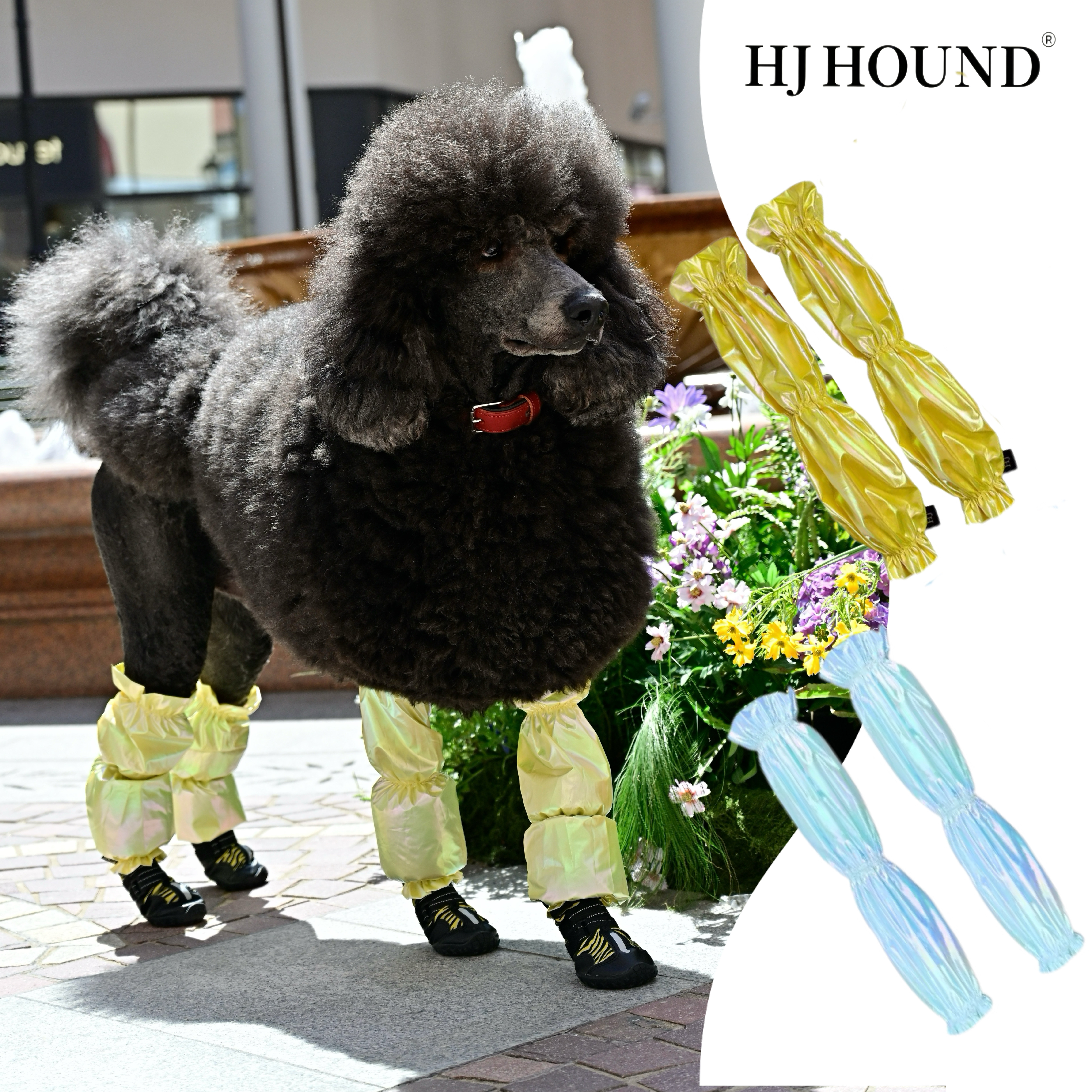 HJHOUND狗狗巨贵犬阿富汗猎犬中型犬腿套防水防虫腿套狗狗防尘裤