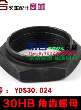 YDS30.024角齿螺母 适用合力杭叉3吨液力变速箱 输出轴螺母