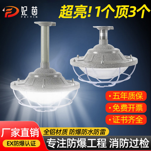 地雷款led防爆灯5年质保