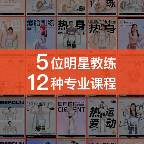 fed椭圆机e智能家用踏步机静音太空漫步仪健身房登山商用运动器材