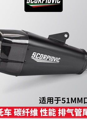 摩托车改装排气管Z400m R3 CBR650 MT09 K165双孔通用尾段改装排