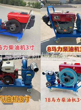 柴油机抽淤粪泵场养殖排污水IEH道清抽污自下吸泵