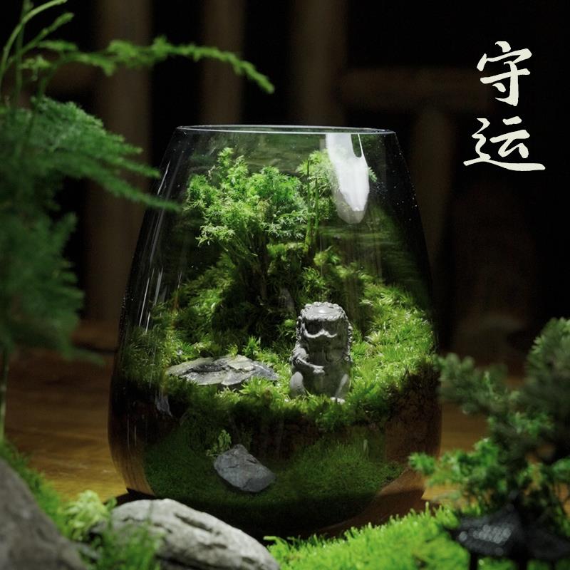 趣味苔藓微景观创意桌面生态瓶盆栽盆景摆件造景办公室植物绿植物
