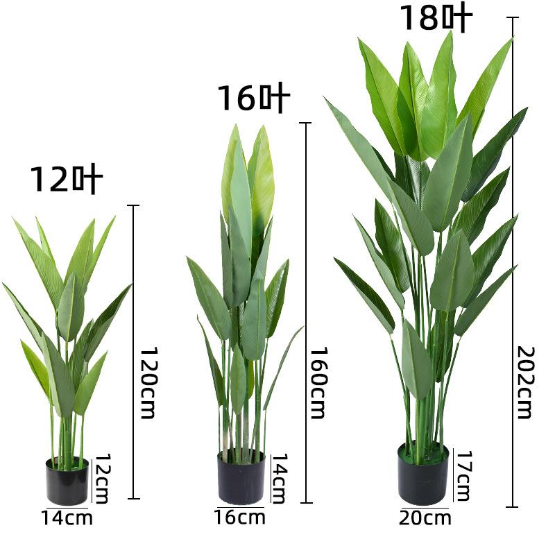 欧式室内仿生美人型蕉植客厅落地大摆仿真树户外美人蕉仿绿绿件化