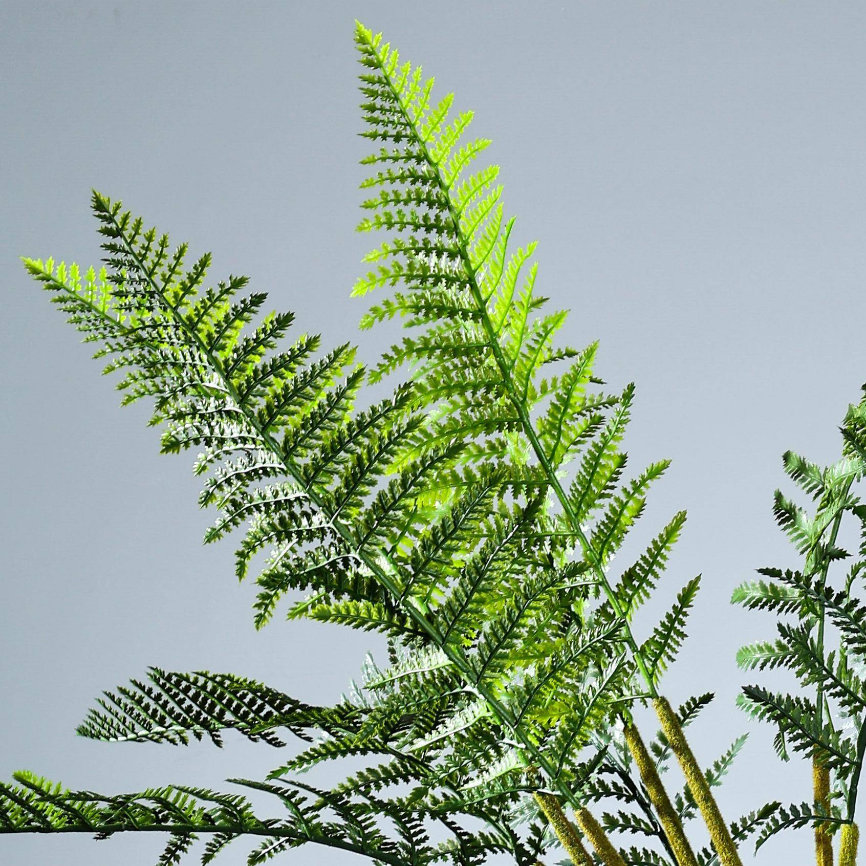 波斯波斯草猴头蕨仿真绿蕨植大型把束软装造景UFC装饰物盆植栽摆