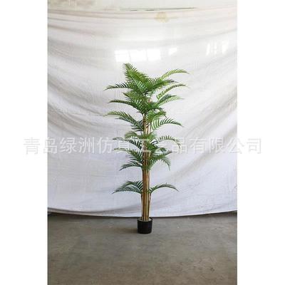 仿真凤竹连心物葵假植大室内盆栽办公SD-2005尾型室绿植造景装饰