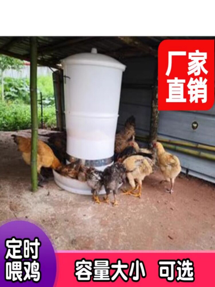 养鸡自动喂鸡喂食器鸭全自动投料机鸽子定时下料器小家用投食电动