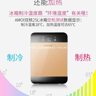 迷你小冰箱载小型家用宿舍办公室学生母乳车家两用冷藏单人用冷冻