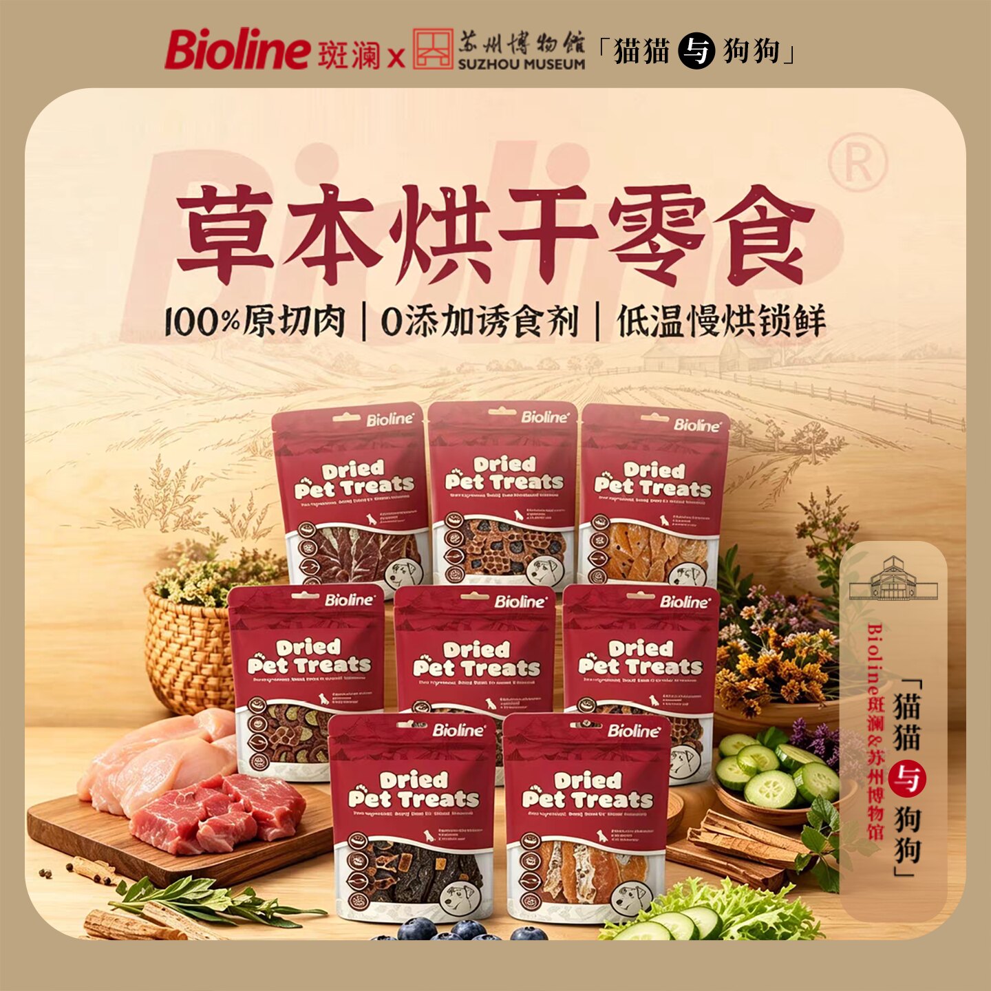 Bioline烘干原切肉干0添加低温