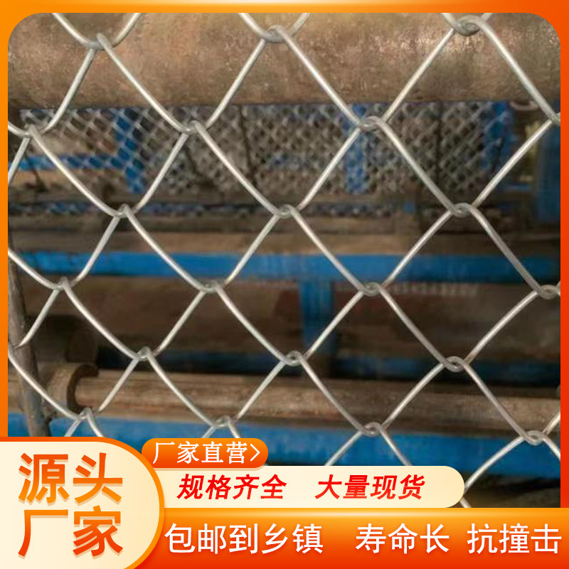 速发镀锌钢鸡网围栏养栏护栏网养丝养狗围牛羊果园防护栅殖网菱形