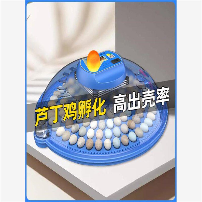 速发小飞碟孵化器小型家用全自动智能鸟蛋芦丁小鸡孵蛋器孵化箱孵