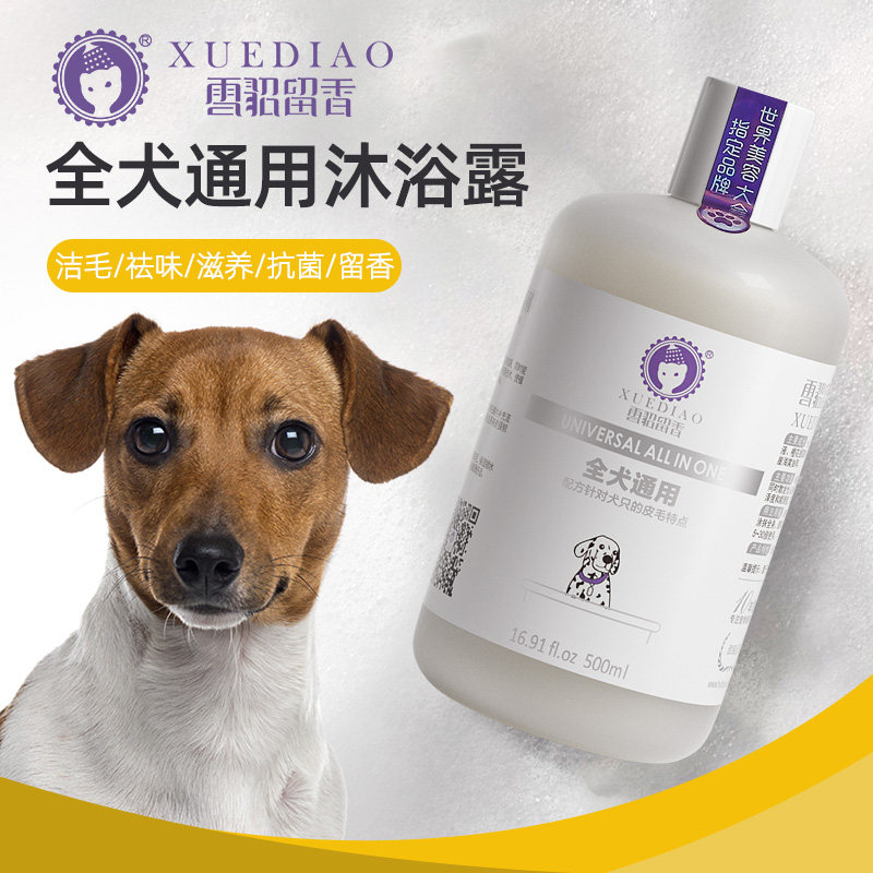 速发雪貂中波田园犬土狗幼犬洗澡除浴香华臭液