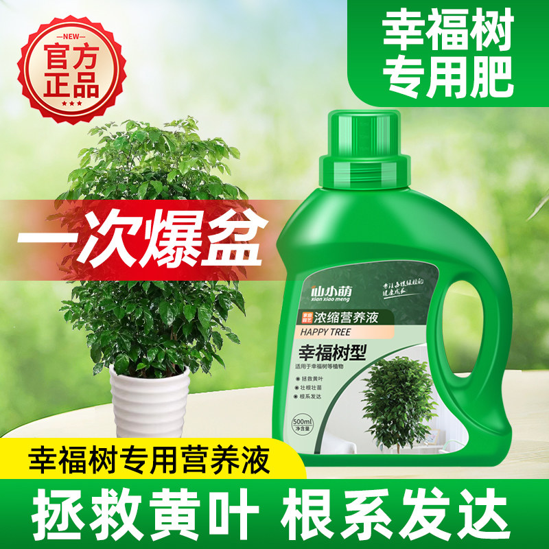 速发幸福树肥叶营养液室内掉叶子落叶黄树肥盆栽料木植物花肥
