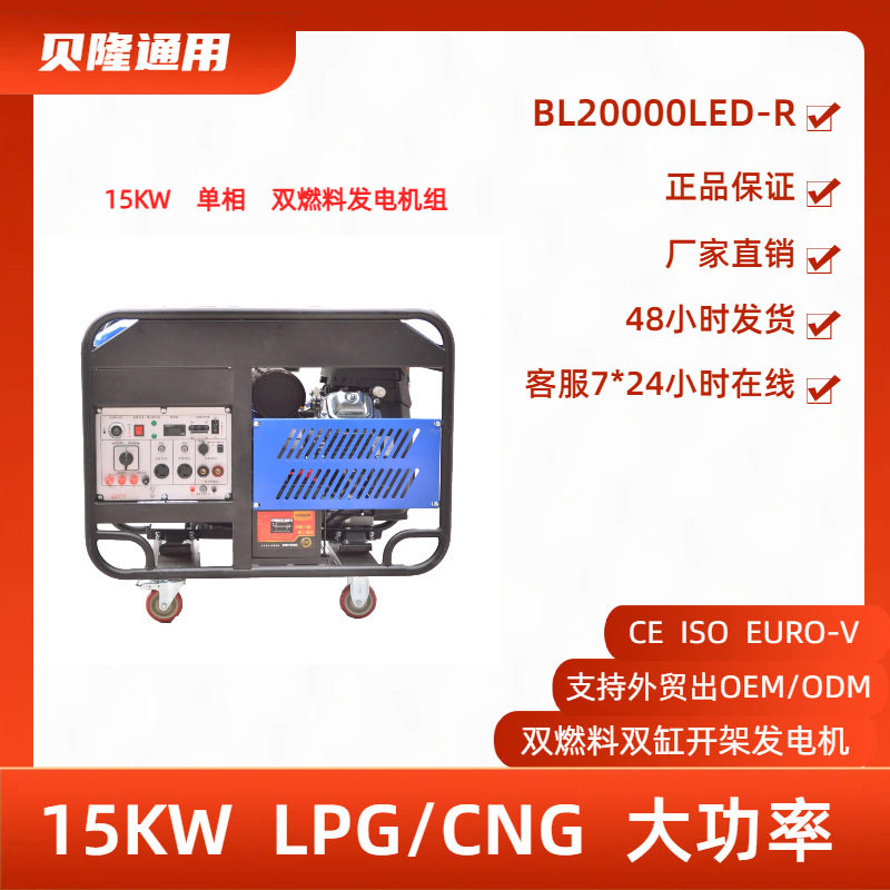 贝隆15KW双缸双燃料发电机组
