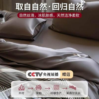 F级1L00支精地利兰天丝四件套夏季纯色床单被套床笠宿子成舍三件