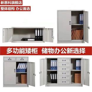 办公室铁皮文柜档柜案家用储物柜件资料柜更衣柜矮凭柜见详情带锁