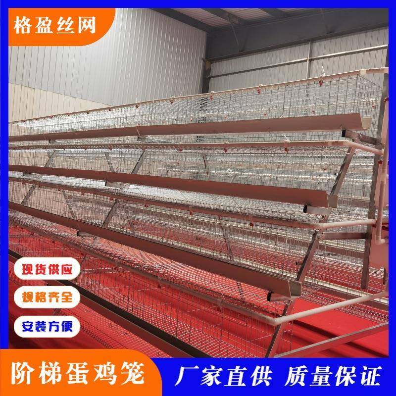 加粗镀锌丝阶梯式蛋鸡笼配件可选可配清粪带自动喂料机,畜牧/养殖物资,特种养殖设备,淘宝优惠券,粉丝福利购,淘宝优惠卷