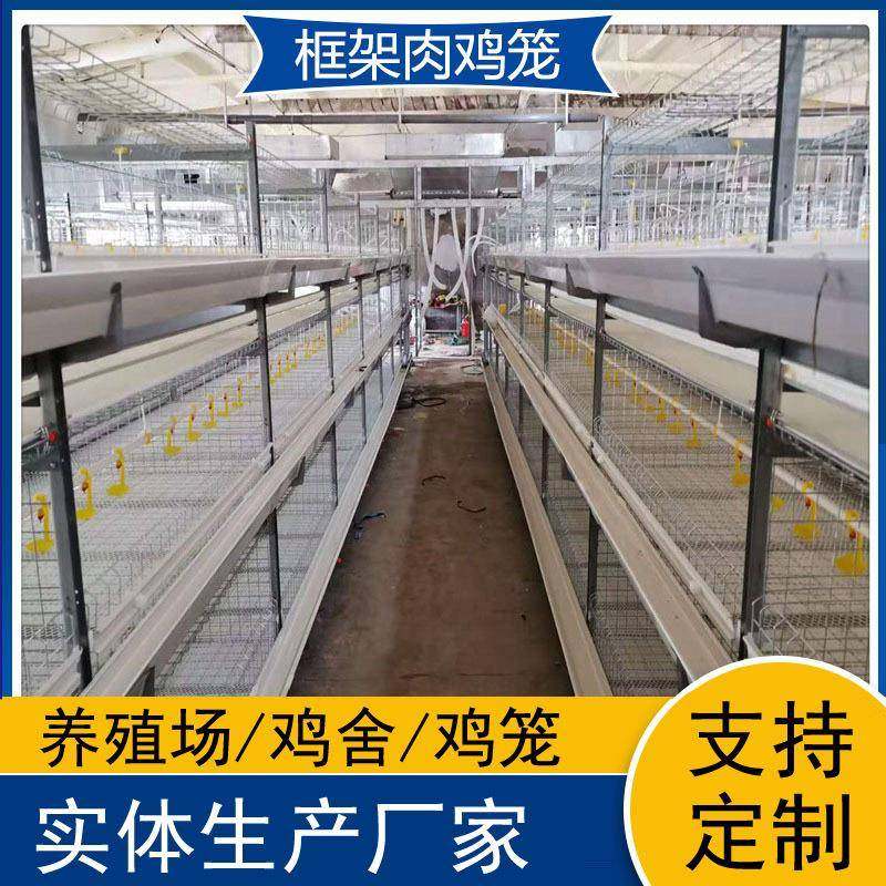 自动化框架肉鸡笼养鸡设备鸡舍改造大中小型养鸡厂鸡笼,畜牧/养殖物资,特种养殖设备,淘宝优惠券,粉丝福利购,淘宝优惠卷