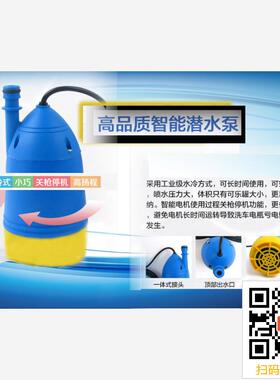 智能12V高压水泵喷雾器洗车净水增压泵压力开关6Q0w微型潜水泵80w