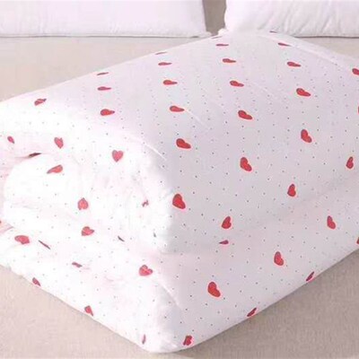 新棉花2.2*2.4米p厚冬被棉絮子母被芯 空调夏凉被单双人棉被春秋