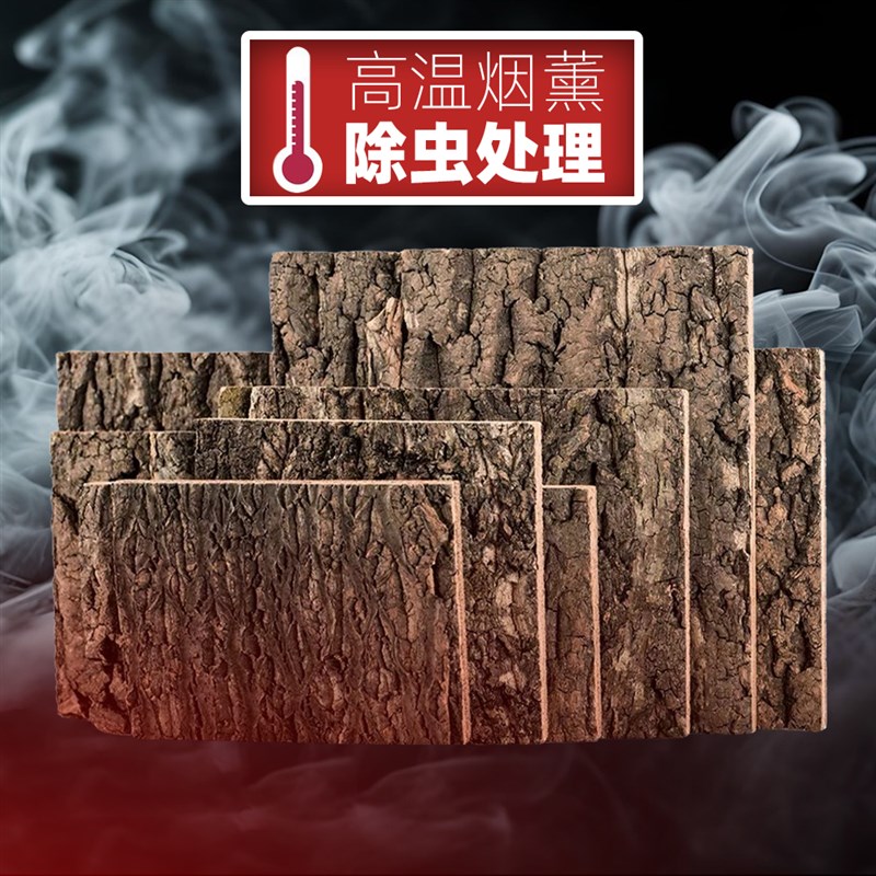 橡树真树b皮爬宠造景雨林缸枯木爬虫宠物生态箱素材装饰攀爬背景