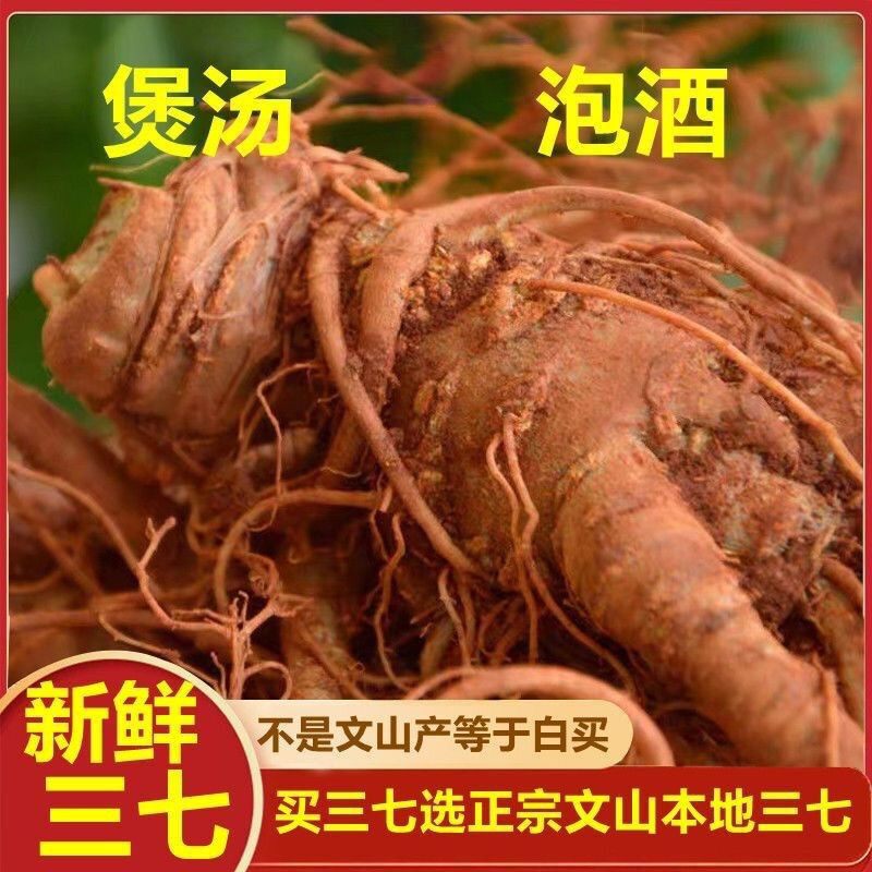 云南文山特产三七现挖十头一斤现挖3斤装正宗文山三七新鲜泡酒