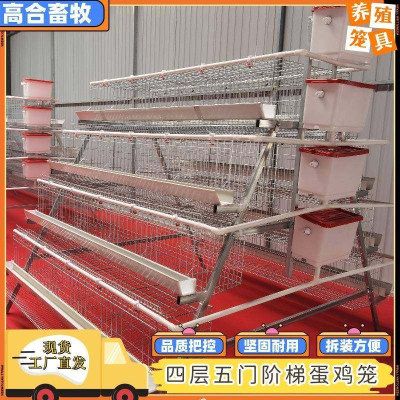 四层五门蛋鸡笼肉鸡笼镀锌笼三层四层养鸡笼鸡舍养鸡场阶梯式,畜牧/养殖物资,特种养殖设备,淘宝优惠券,粉丝福利购,淘宝优惠卷