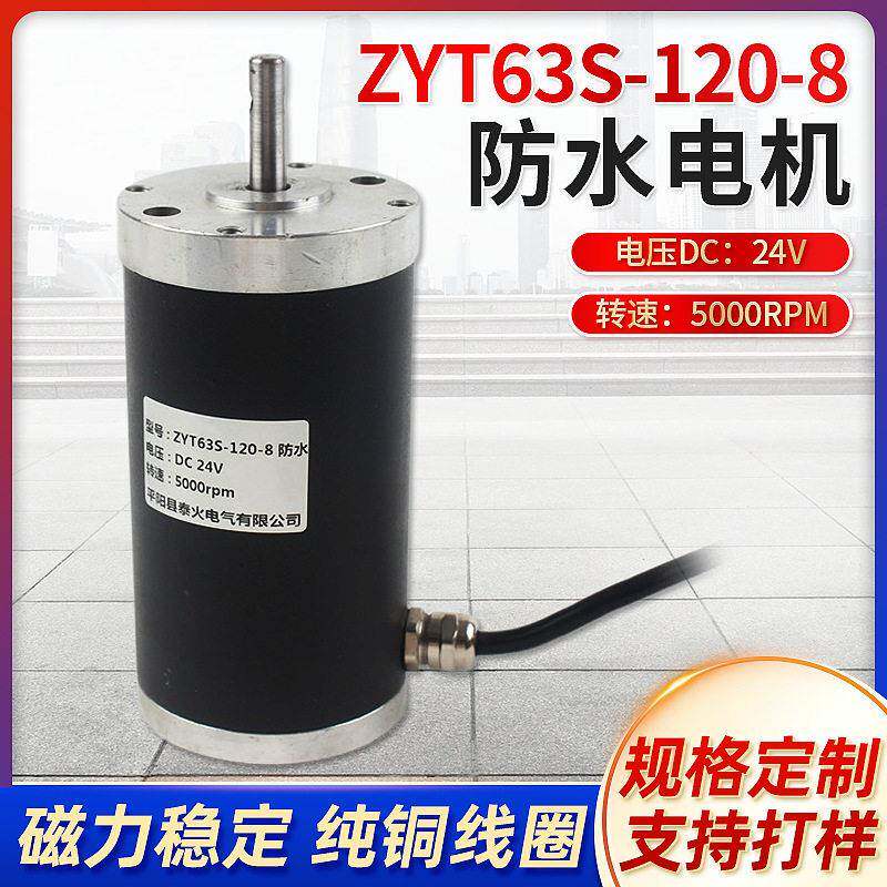 T63S-120-8永磁防水有刷电机自动化机械设备自动门微型直流马达