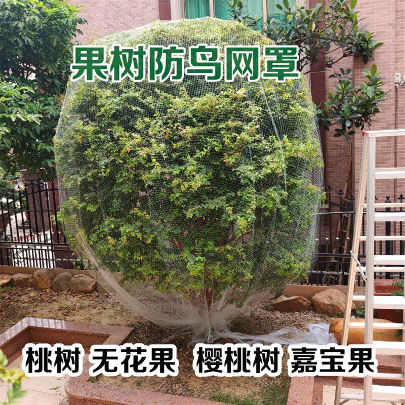 热销果树防鸟罩嘉l宝果樱桃果园大棚鱼塘天网阳台菜地防护网尼龙