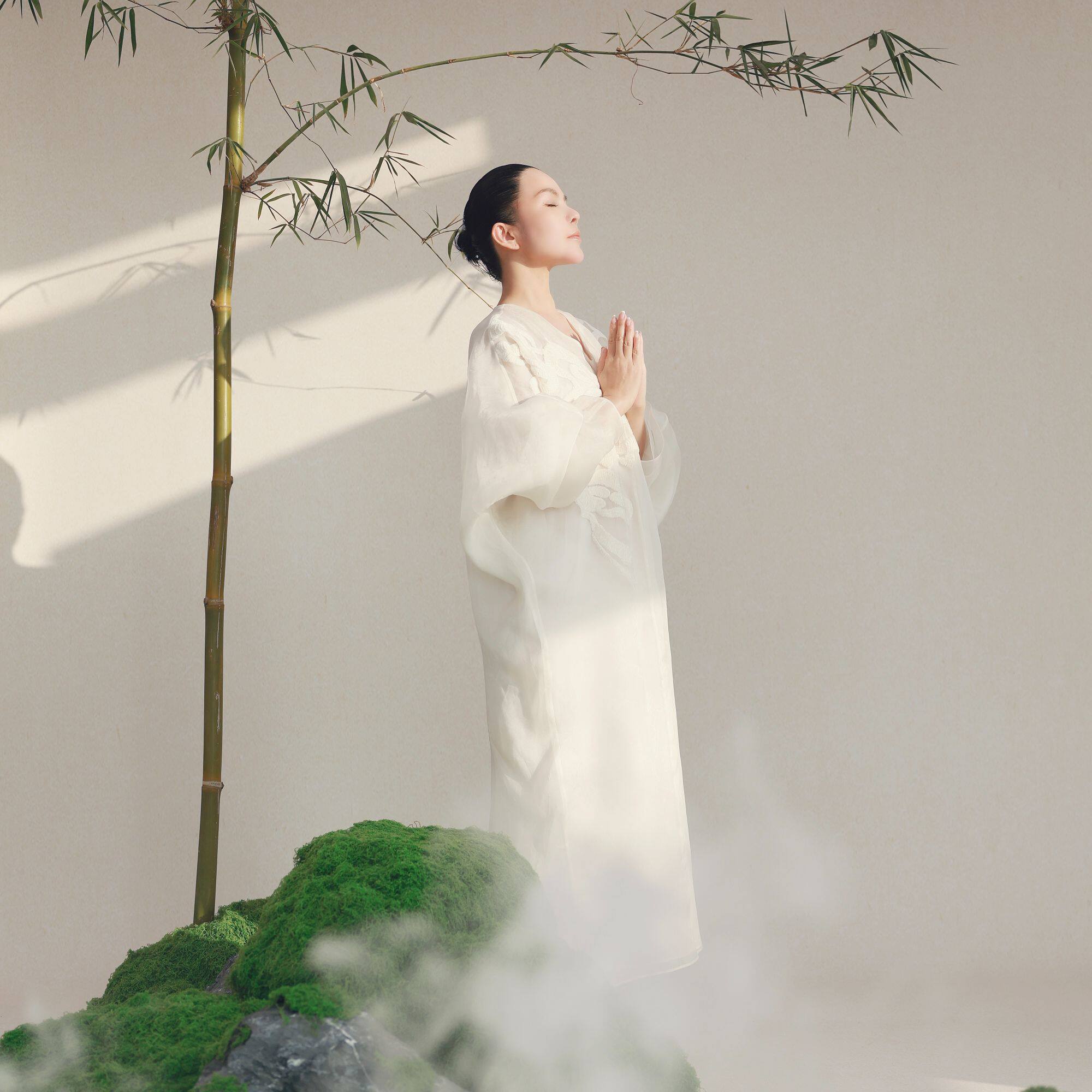 SIQIYOUNG欧根纱提花连衣裙