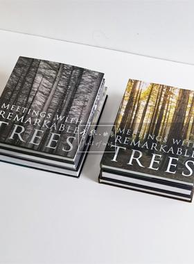 绿色自然风景大树摄影系列主题英文真书样板间会所侘寂软装饰品