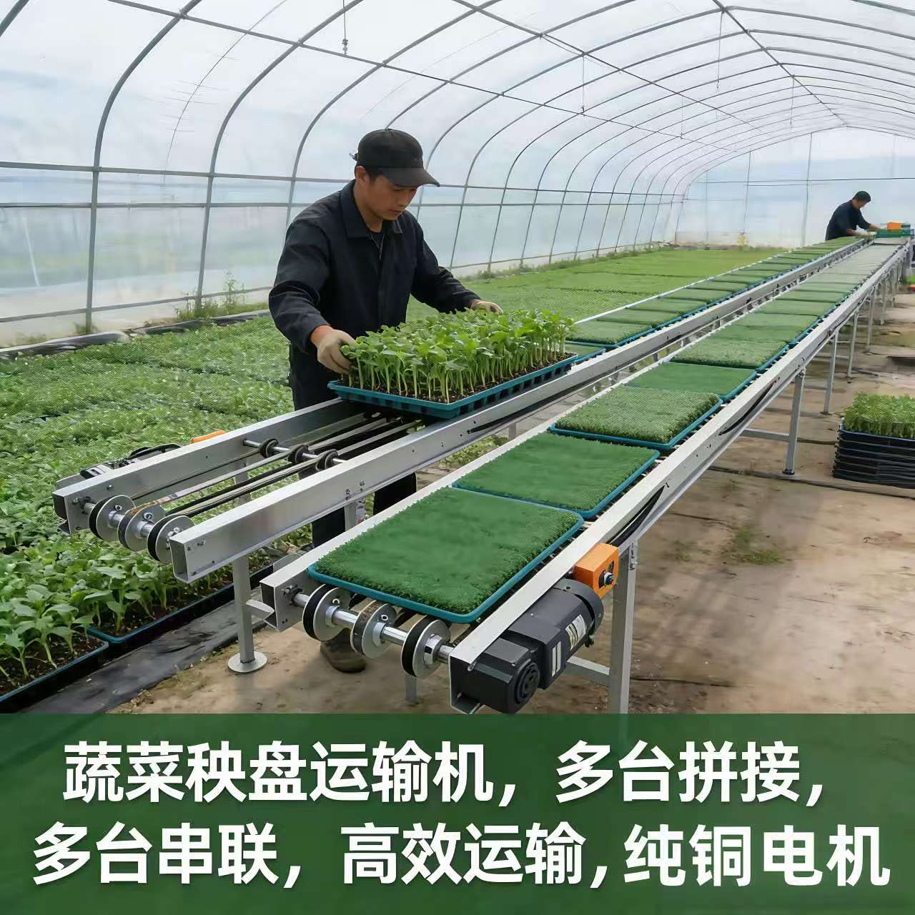 蔬菜水稻大棚育苗盘输送机流水线