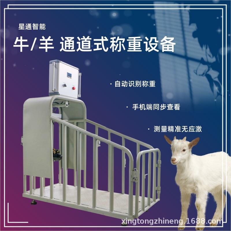 通道饮水称重终端自动识别称重数据同步至手机安装方便围栏加厚