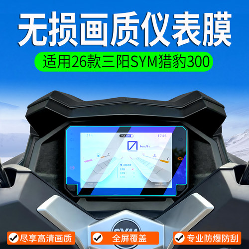 适用三阳SYM猎豹300仪表膜