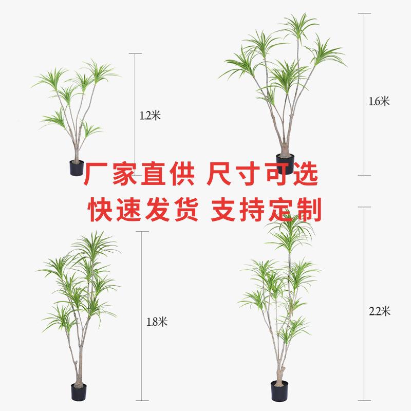 办公室装饰真龙假血树酒店大龙型928落地仿真植物仿千年木血铁绿